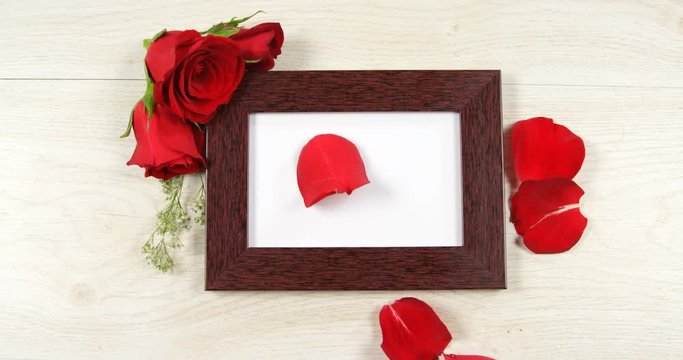 Red rose petal falling on the photo frame 