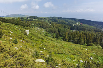 Fototapeta na wymiar Summer Landscape From Hiking trail for Cherni Vrah peak at Vitosha Mountain, Sofia City Region, Bulgaria