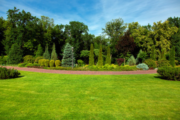 landscape design of the park with a walkway along the green plantations of bushes and trees with a lawn.