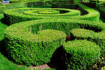 Hedge landscape design with trimmed bushes and circles and spirals planted in different patterns.