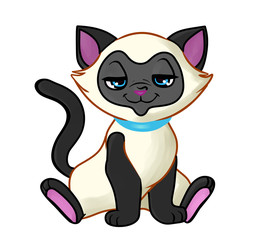  Siamese cat