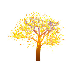 Lonely autumn tree with bright foliage, on a transparent background
