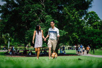 Fototapeta premium Portrait of a young Asian couple walking their corgi dog in the park during the day. The corgi is small and cute. 