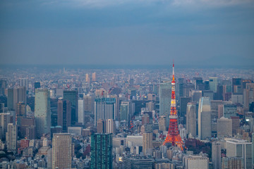 東京タワーと街並みの空撮