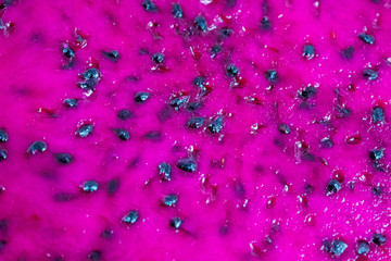 dragon fruit pitaya macro view