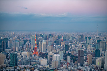 東京タワーと東京スカイツリーの空撮