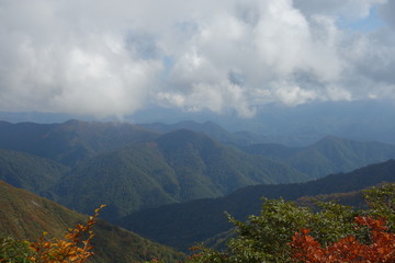 山