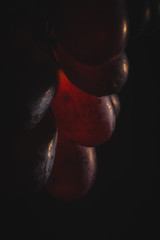 Rote Weintrauben von hinten ausgeleuchtet mit schwarzen Hintergrund