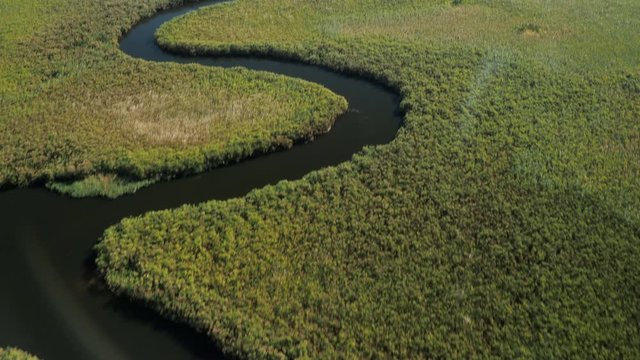 Wildlife aerial Okavango Delta Botswana Africa