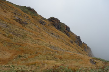 山