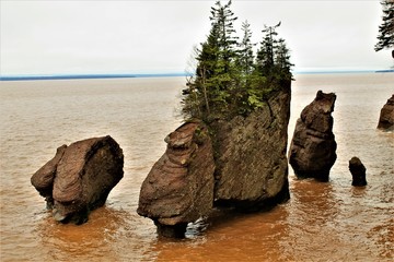 Hopewell Rocks