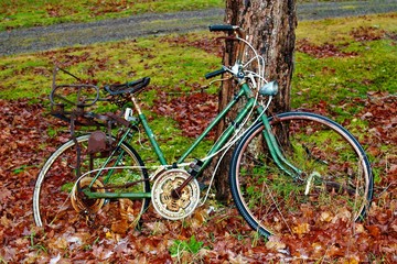 Old bike
