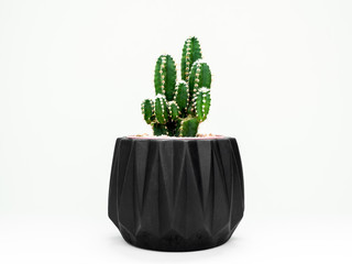 Black geometric planter with cactus. Painted concrete planter for home decoration