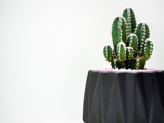 Black geometric planter with cactus. Painted concrete planter for home decoration