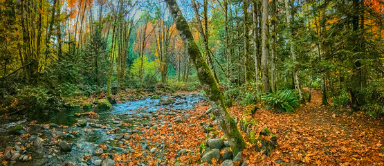 Holland Creek Trail