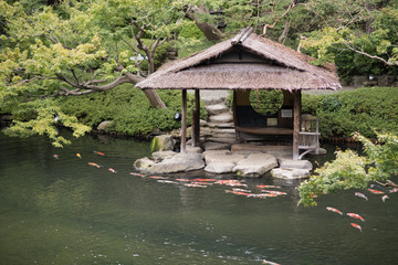 Naklejka premium 日本庭園