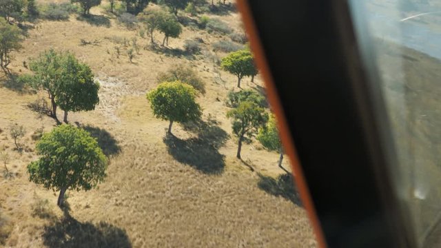Wildlife aerial Okavango Delta Botswana Africa