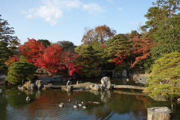 Fototapeta premium 桂離宮