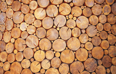 Trees cut section for background texture. Background texture of dry firewood logs stacked