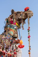 Papier Peint photo Lavable Chameau Tête décorée d& 39 un chameau dans le désert du Thar pendant Pushkar Camel Fair, Rajasthan, Inde. Fermer