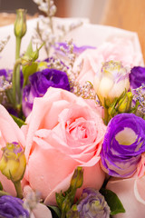Pink roses for love on Valentine's Day