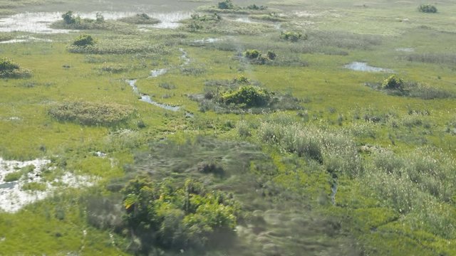 Wildlife aerial Okavango Delta Botswana Africa