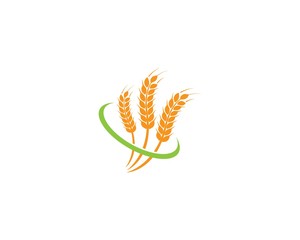 wheat Logo Template