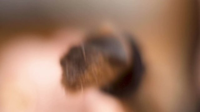 Macro up close of pony tail cut off during drastic haircut.