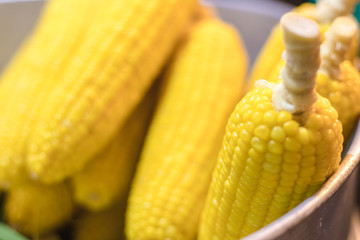 close up Yellow boil corn put together in a big pot