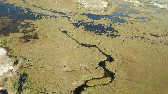 Wildlife aerial Okavango Delta Botswana Africa