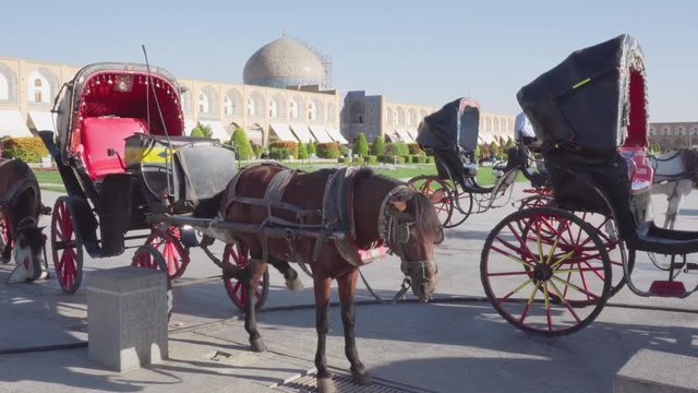 Horse and buggy in Naqsh-e Jahan Square, Isfahan, Iran