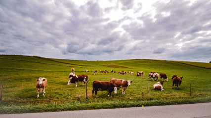 クランツベルグでの出会い