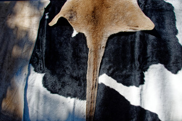 Animal hides at Gosford City Farmers Market Day April, 2017