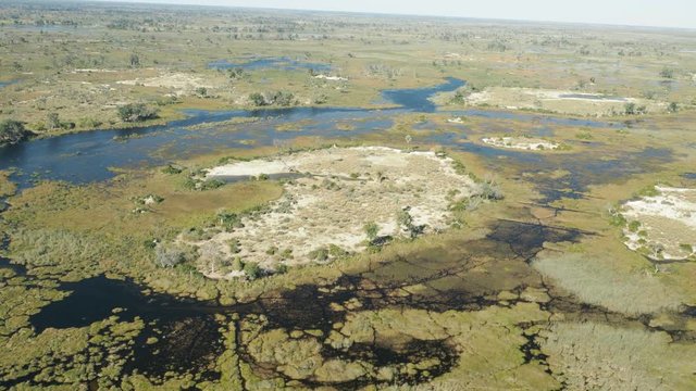 Wildlife aerial Okavango Delta Botswana Africa