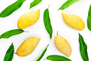Mango with leaves on a white background