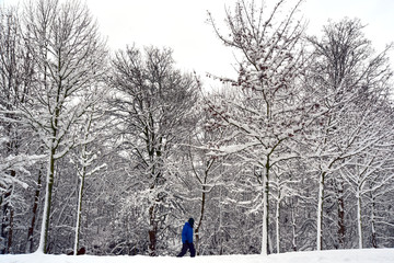 Fototapety na wymiar - Fototapeta24.pl