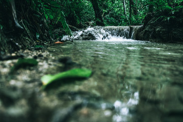 view of a beautiful waterfall in Thailand in a green jungle and clean environment in a moody green tone look surrounded with big trees and clear fresh green water which suggests an eco environment