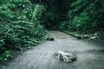 A concrete path with rocks leading through the jungle of Thailand in a green environment and a green moody look and beautiful light taken from a low angle in landscape format