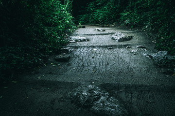 A concrete path with rocks leading through the jungle of Thailand in a green environment and a green moody look and beautiful light taken from a low angle in landscape format