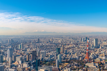Naklejka premium Widok z lotu ptaka Tokyo Tower i Fudżi