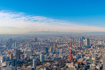 東京タワーと富士山の空撮