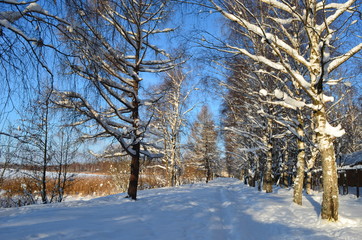 Sunny winter in Russia