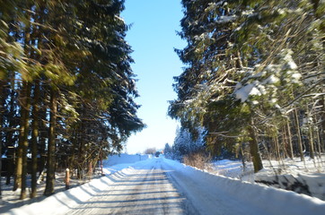 Sunny winter in Russia