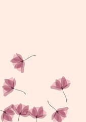 Gentle tropical flowers. Transparent petals on a pink background. Floral pattern in pastel colors.