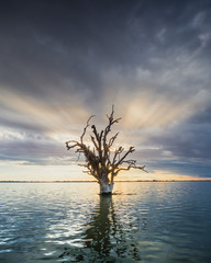 Peaceful Lake