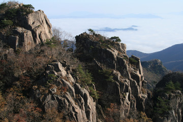 가을 산과 운해