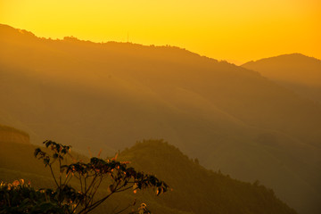 Mountain valley during sunrise. Natural summer landscape