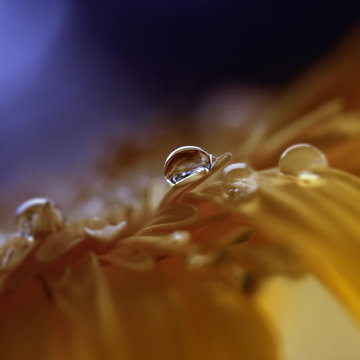hello world by clean dews