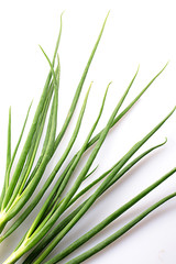 green grass isolated on white background