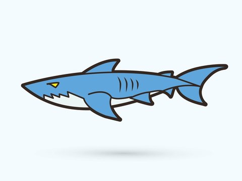 Shark swim cartoon graphic vector